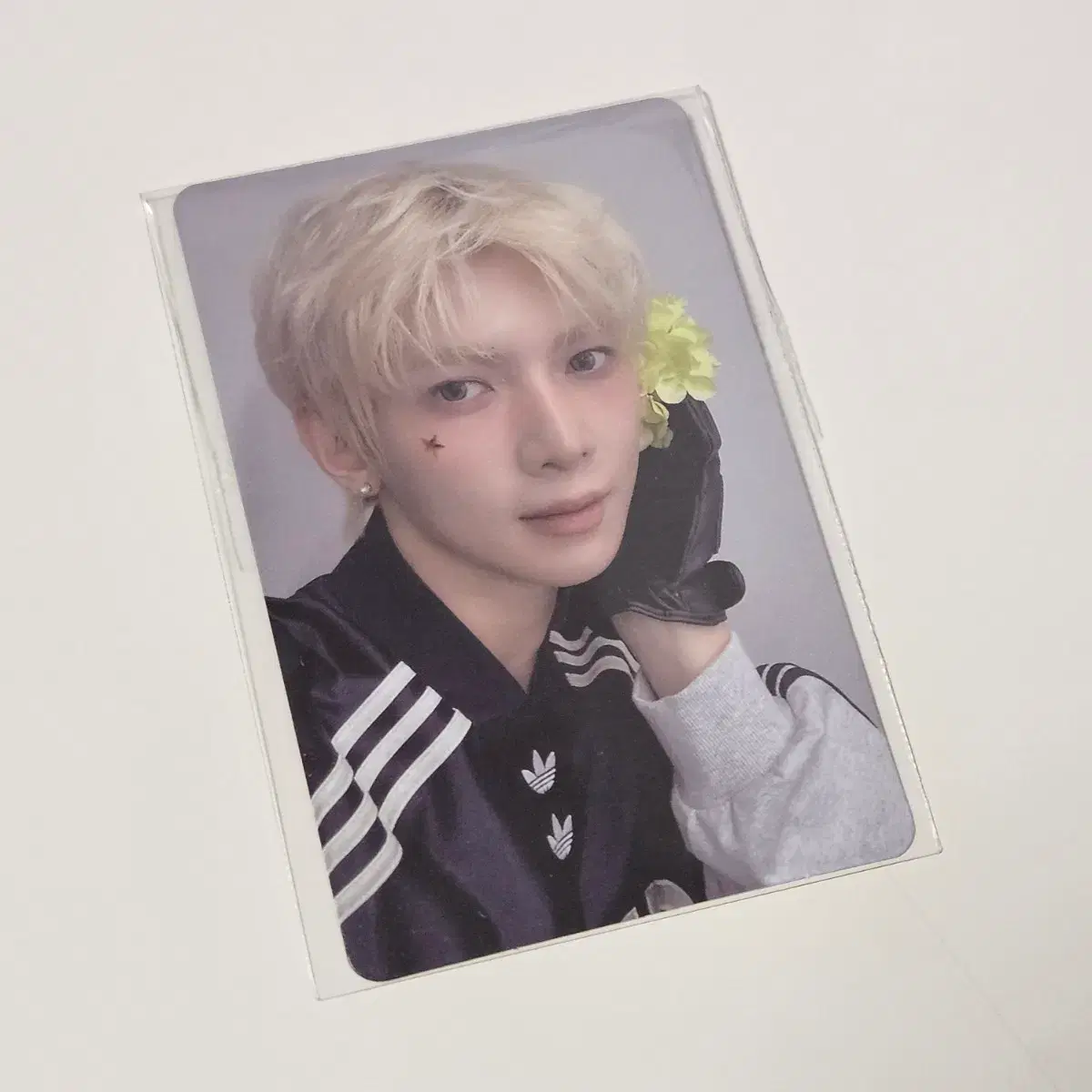 에이티즈 애니티즈 팝업 윤호 10만원 구매 특전 포카 ateez | 브랜드